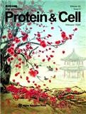 蛋白质与细胞（英文版）（Protein & Cell）
