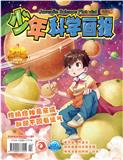 少年科学画报