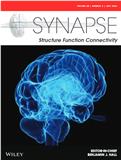 Synapse-Structure Function Connectivity《突触-结构功能连接》（原：Synapse）