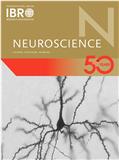 Neuroscience《神经科学》