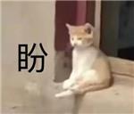 反反复复发发
