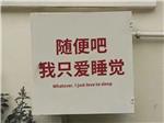 两只咸鱼