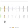 思想政治教育研究的点评