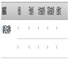 武汉交通职业学院学报(不收版面费审稿费)的点评