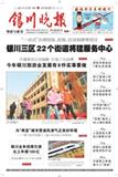 银川晚报（副刊）