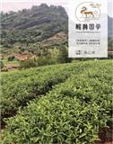 岁月·醒狮国学（停刊）