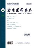 实用医药杂志（停刊）