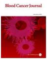 BLOOD CANCER JOURNAL《血液肿瘤杂志》