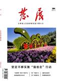 发展