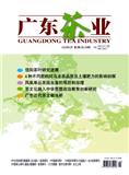广东茶业