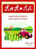 农村·农业·农民（A版）（停刊）