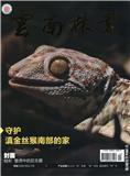 云南林业