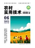 农村实用技术（原：东南亚南亚信息）