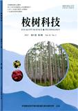 桉树科技
