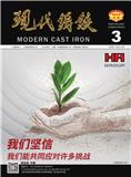 现代铸铁（原：国外铸铁）