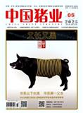 中国猪业