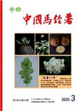 中国马铃薯