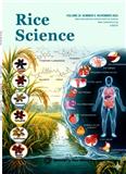 水稻科学（英文版）（Rice Science ）（原：中国水稻研究通报（英文版）（Chinese Rice Research Newsletter））