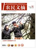 农民文摘