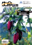 生命世界（原：植物杂志；植物学杂志）