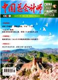 中国总会计师