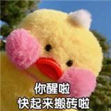 小青椒在努力