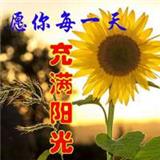 哪壶不提开哪壶