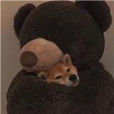 别问我是谁