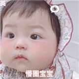 打宝图很努力