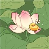 过儿