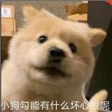 学术有成论文中