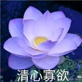 清心寡欲