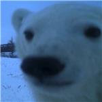 论文不是生活的全部