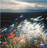 树立和践行正确“投稿观”